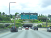 Nearly all the under passes, tunnels and bridges in Seattle have trees and bushes growing on top of them.