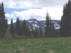 Green meadows beneath the mountains in Mount Rainier National Park.