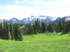 Mount Rainier National Park.