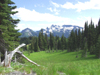 Another view in Mount Rainier National Park.